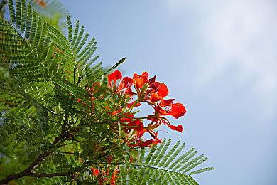 《死神：魂魄觉醒》和《奇异贤伴：爱达之歌》在新加坡通过评级 或于2025年发售